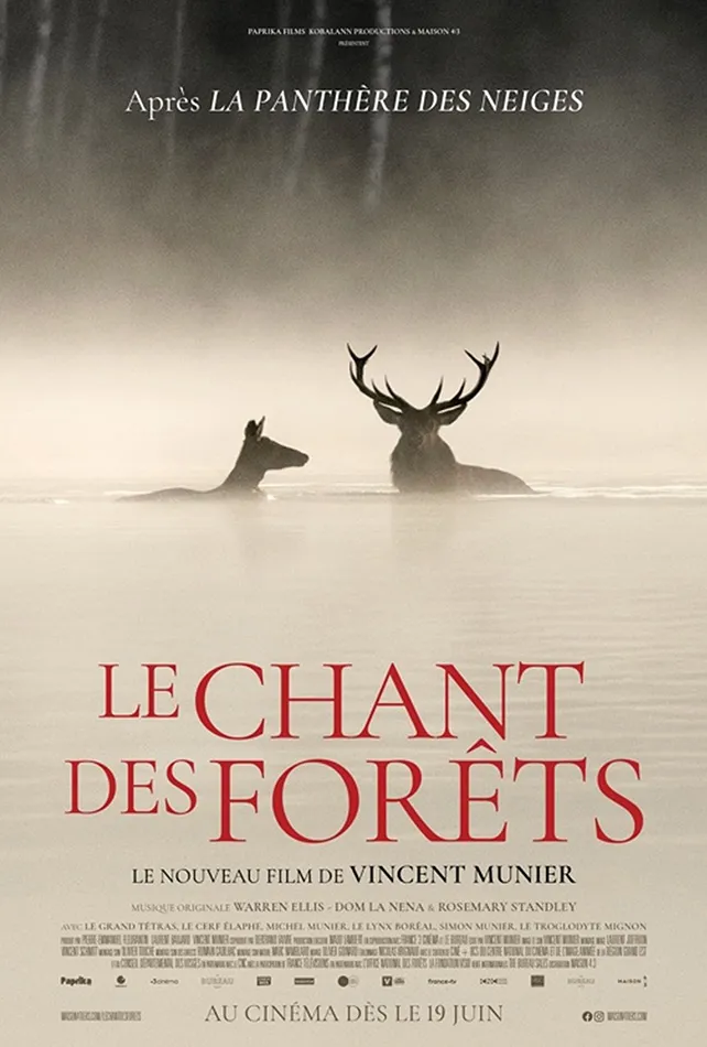 Le chant des forêts