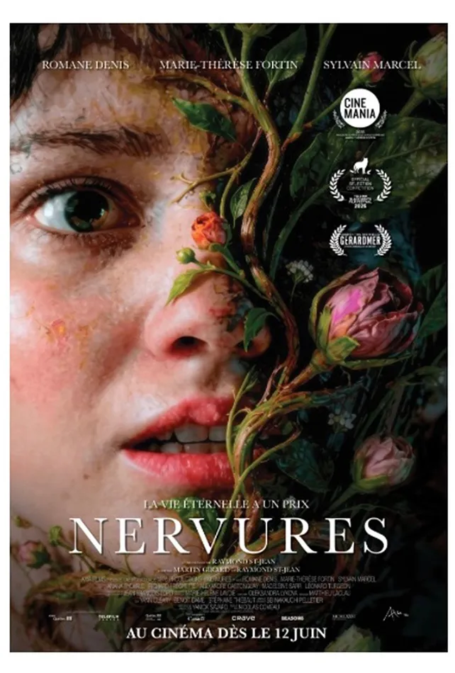 Nervures